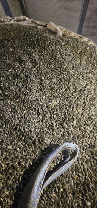 Floare de soare curata uscata 10 tone