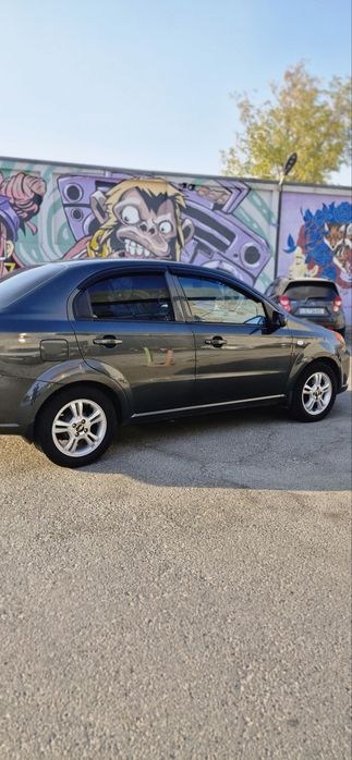 Nexia 3 2019 bitta pitno bor