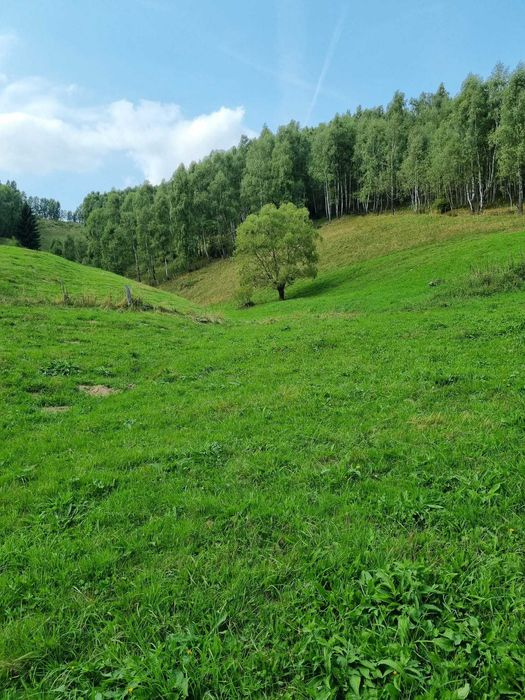 Teren de 36673mp zona Fundata