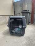 Cușcă transport câini M-L AniOne – folositã de 3 ori