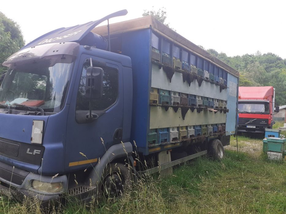 Miere de salcam 2024