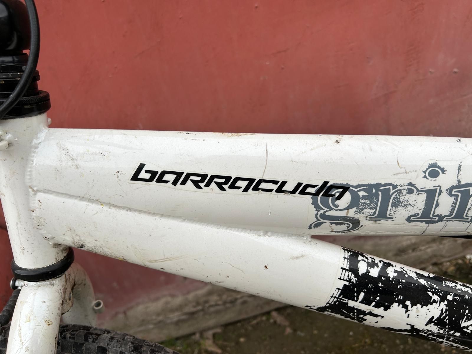 Vind bicicleta Baracuda