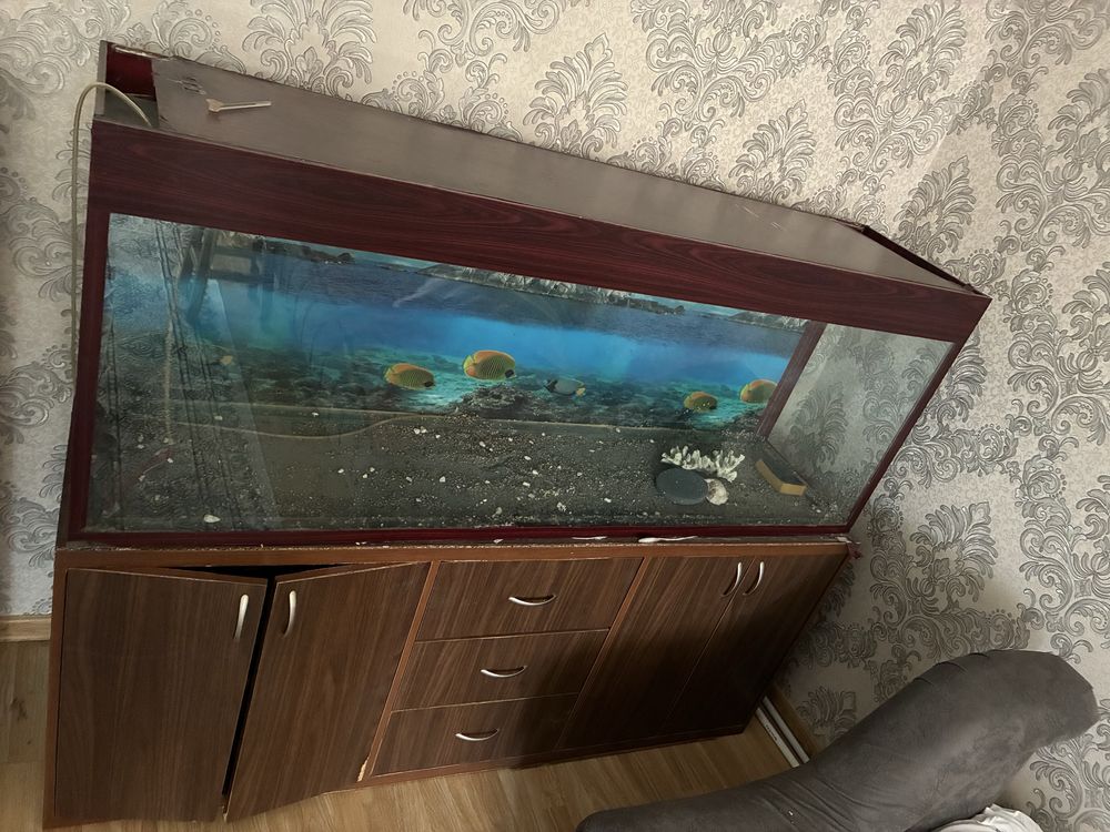 Продается аквариум