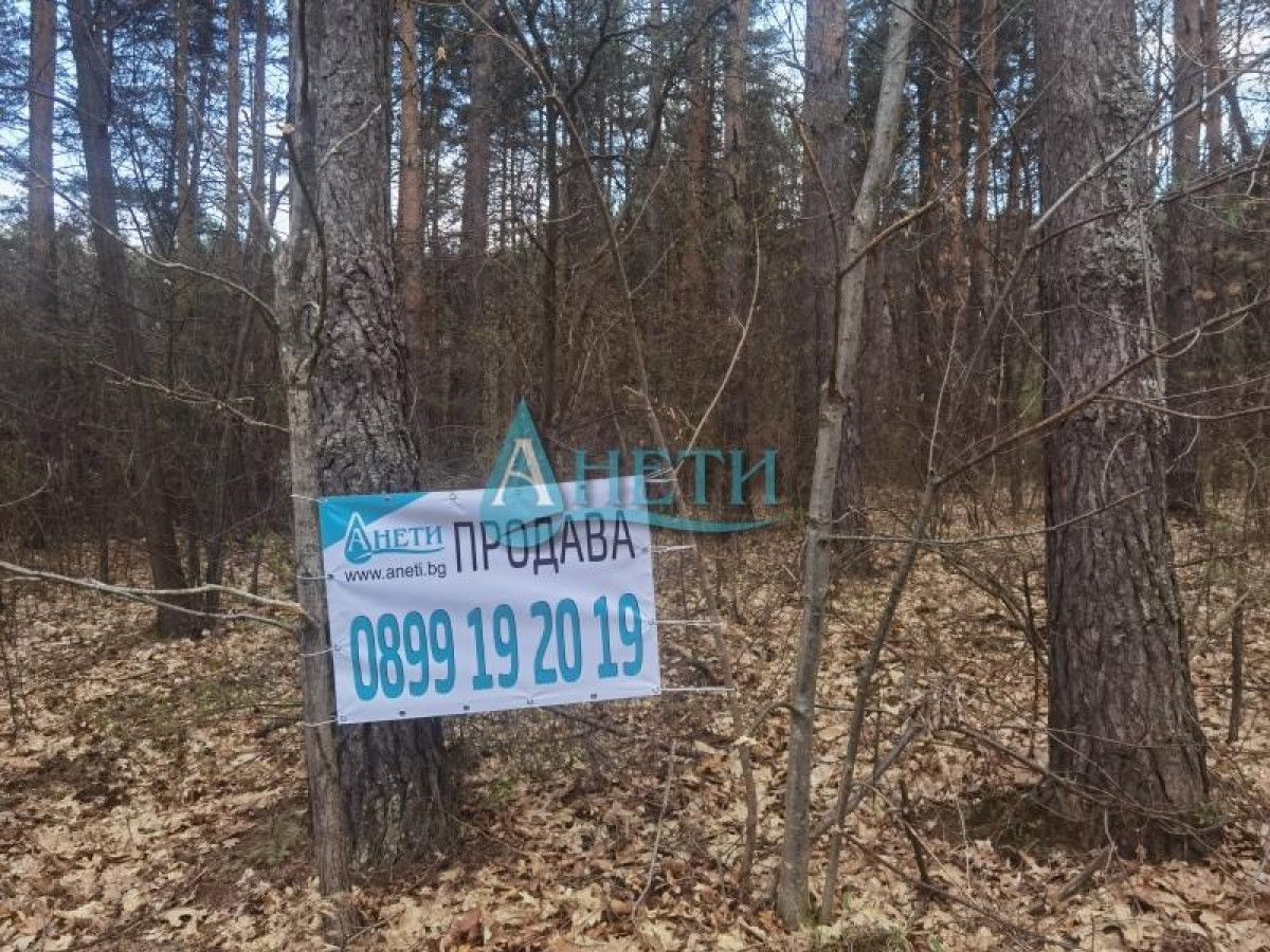 Продава се Парцел в с. Панчарево, Област София-град - 2253 кв.м за 14 €/кв.м - Снимка #5