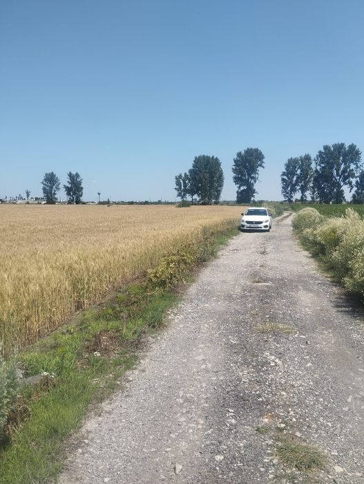 Teren 6500 m - Extravilan - Zona Premium Porc - 7 km de Focșani