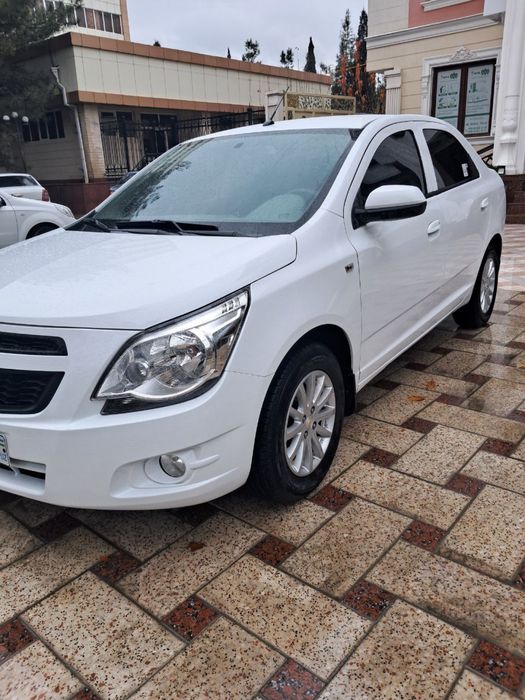 Pazitsiya 2 yili 2018