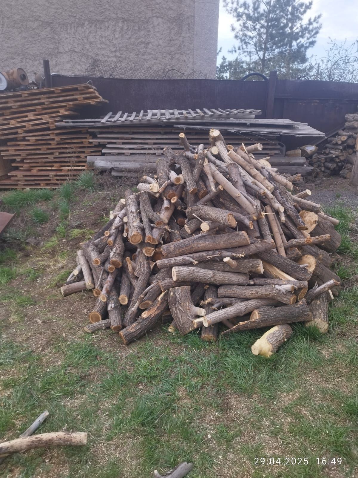Дрова карагач и немного клён.