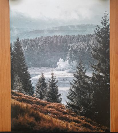 Poster canvas peisaj de pădure