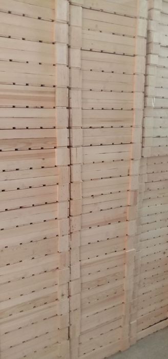 Ящик помидор тахлаш учун