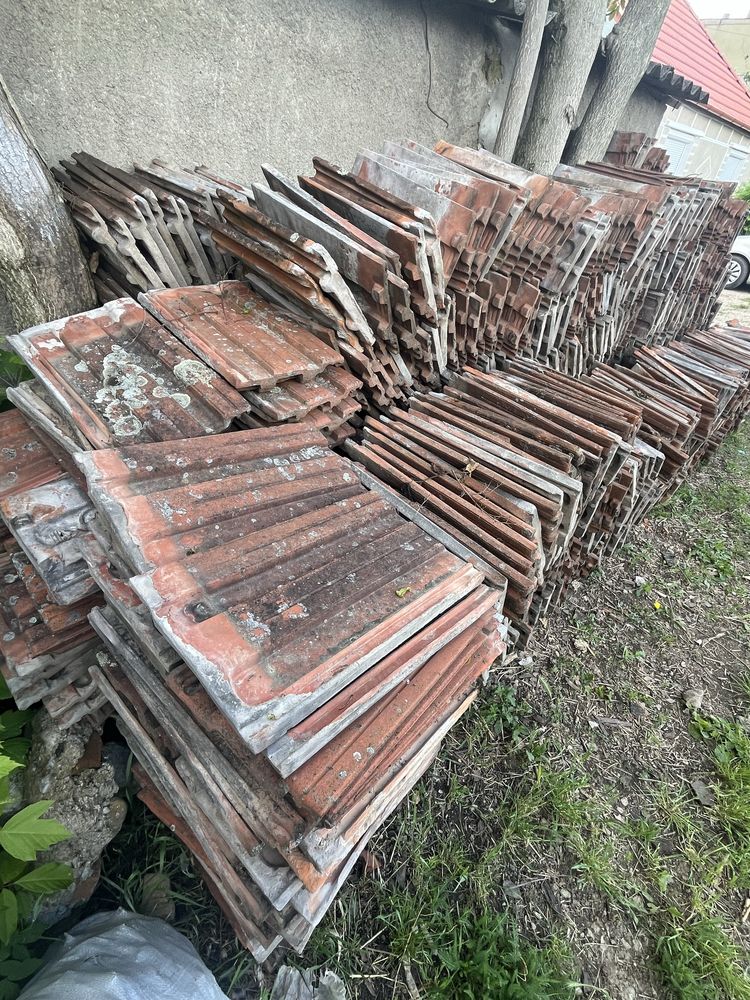 Tigla / Ciripuri Jimbolia Leul