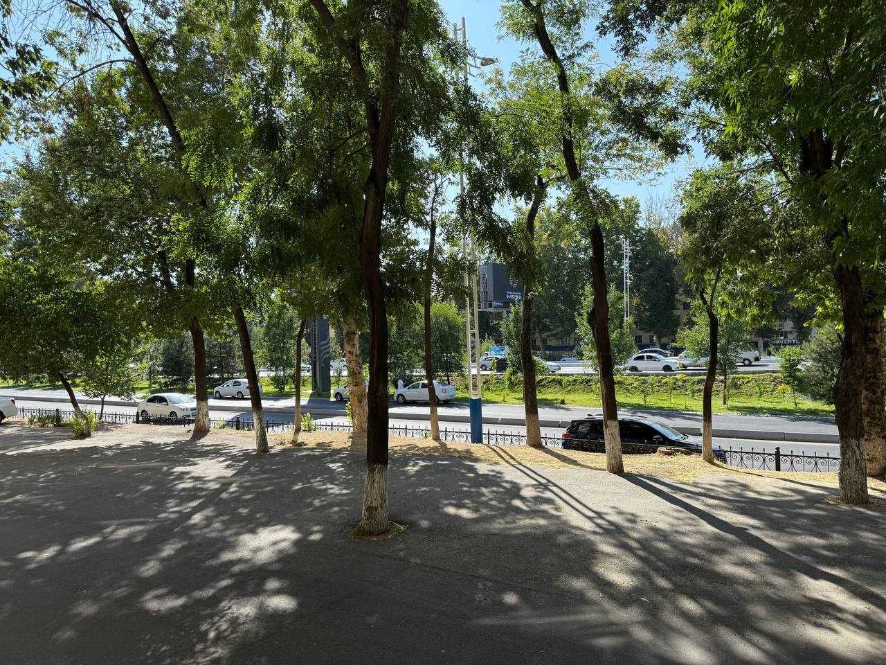 Продается Нежилой помещения  Метро ХАМЗА БТИ 260м2