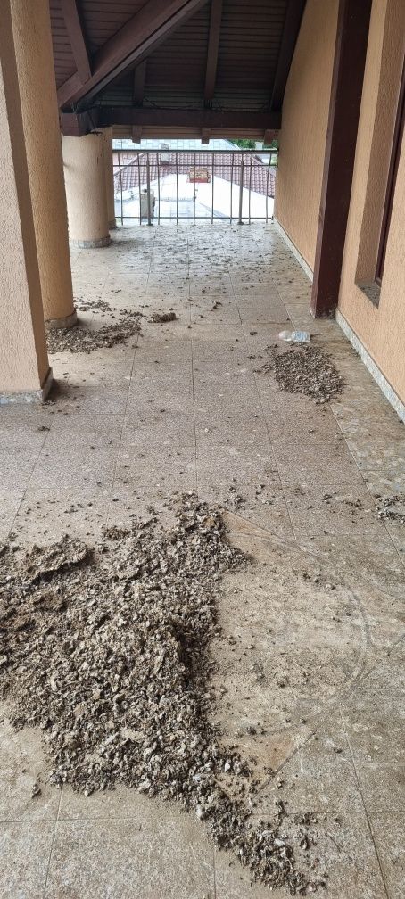 Servicii  de curățenie ,case,, apartamente,curatare saltele,canapele