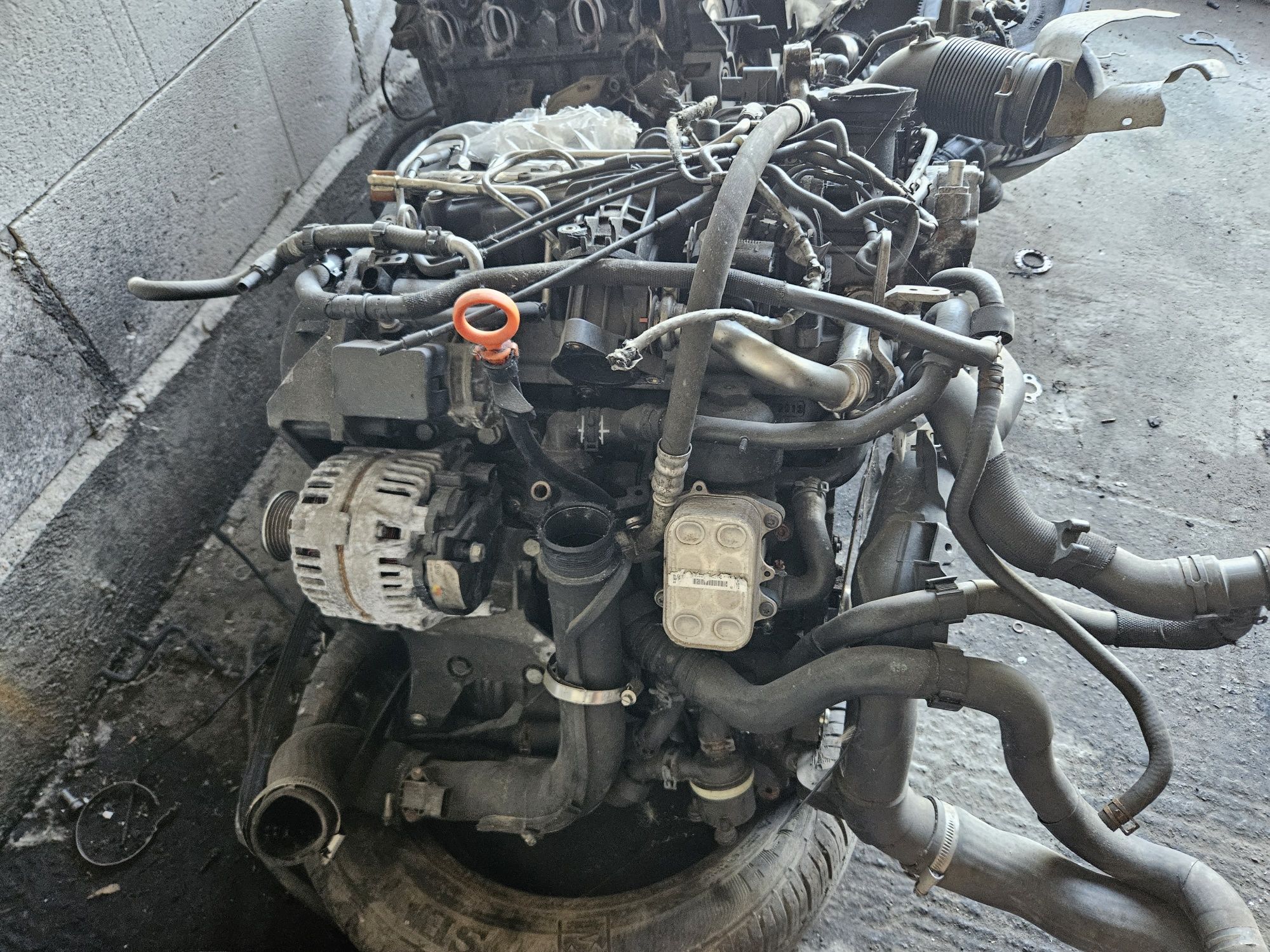 Motor 1.6 tdi CAYC/CAY gama VAG