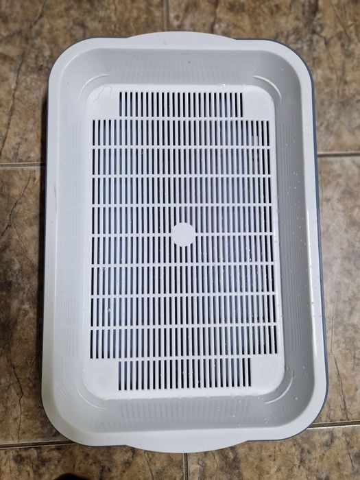 Лоток для котят размеры 40х27