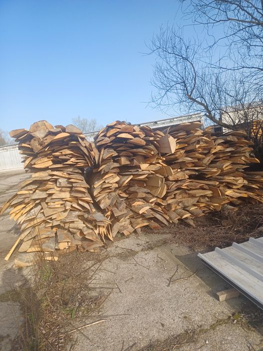 Lemne de foc (laturae)