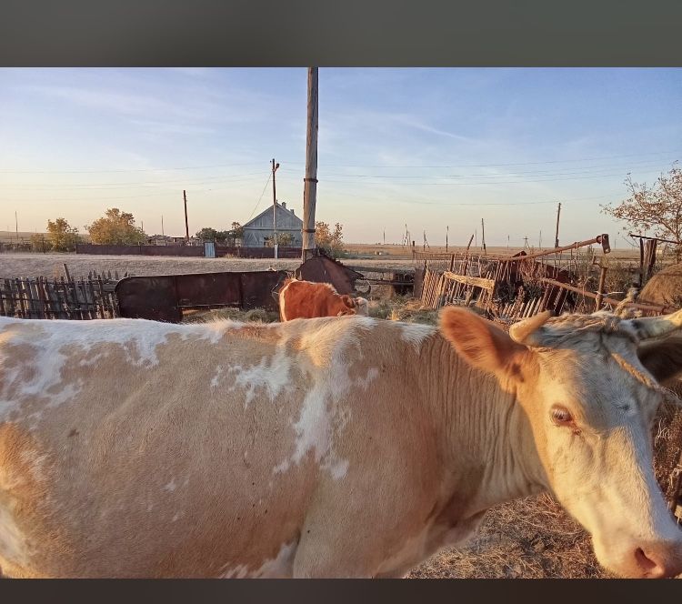 Добрый день группа