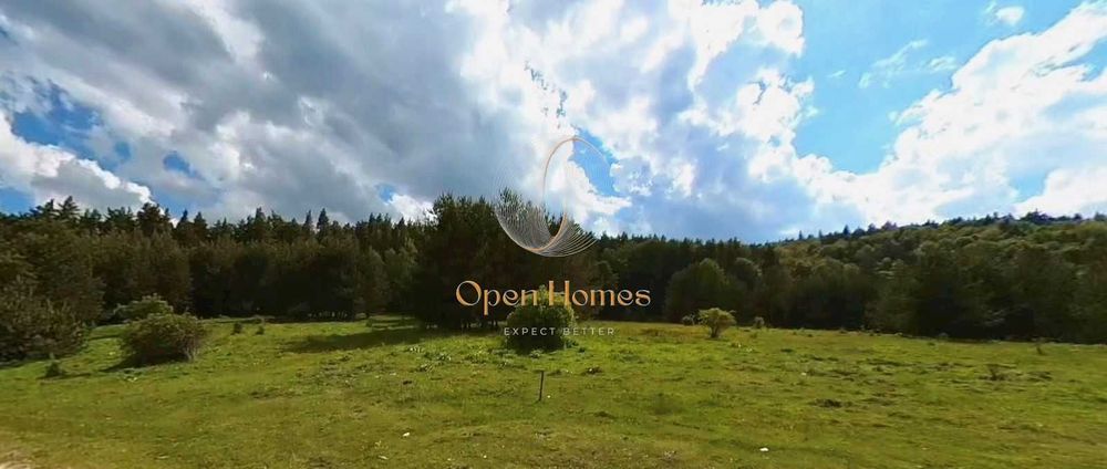 Нива в района на хижа Студенец