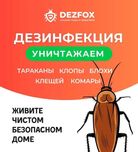 Дезинфекция Обработка От Насекомых Тараканов Ташкент Санитарная ТАР-1