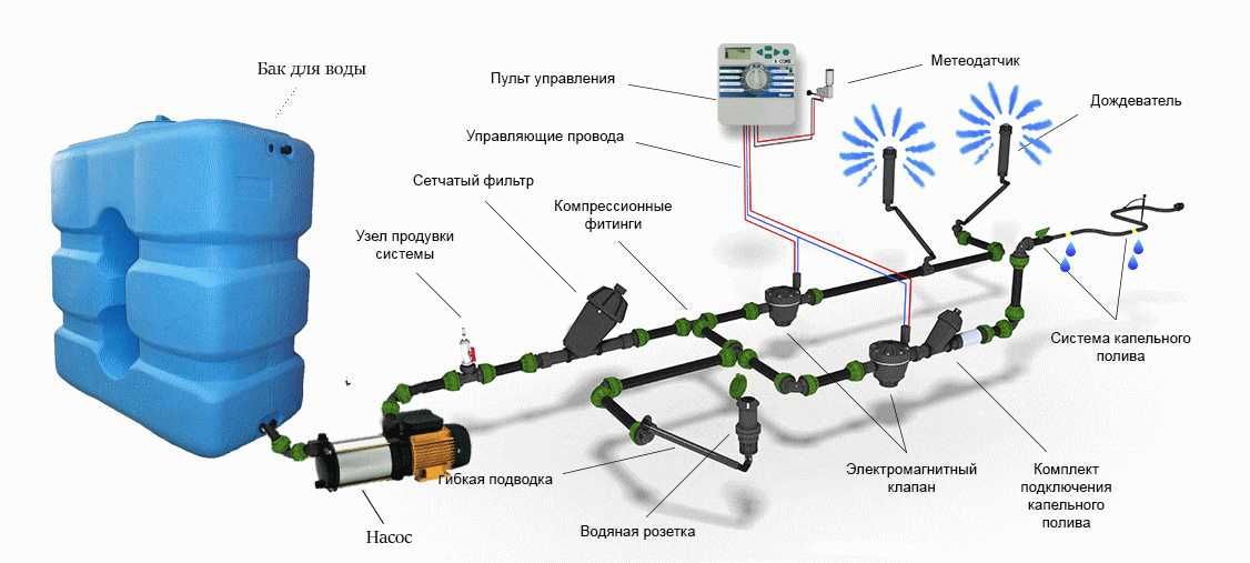 Газон и Автополив