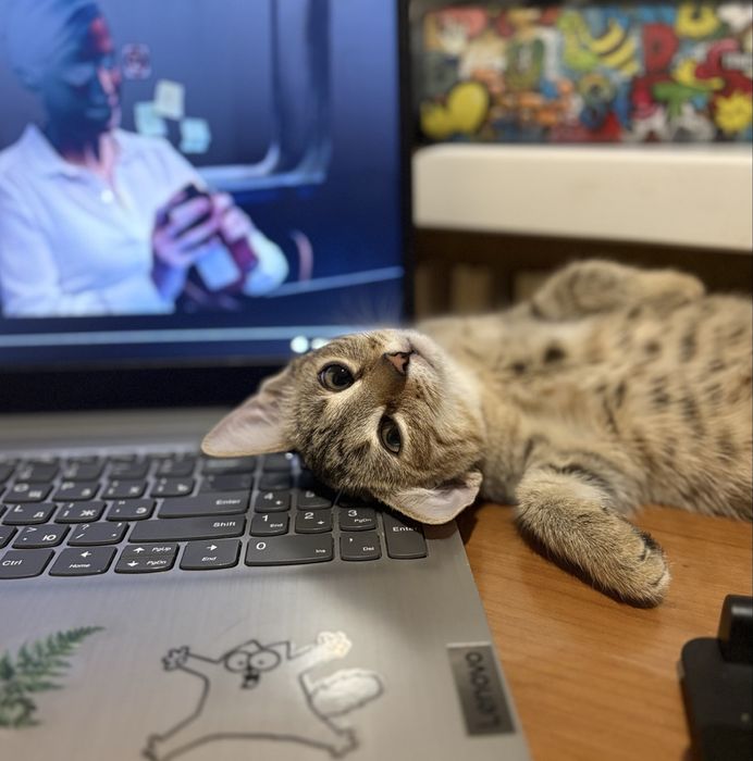 Только ответственным