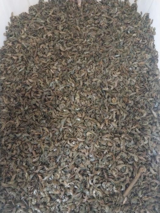 Бармаш круглосуточно