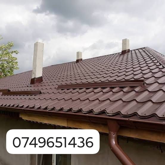 Acoperișuri și reparații