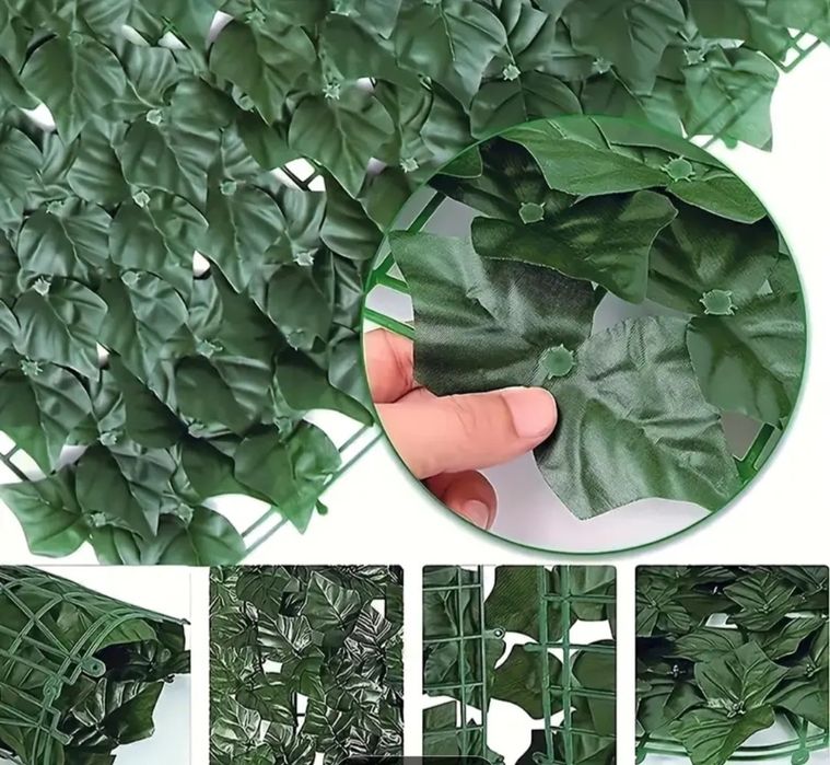 Зелена ограда за 12лв от 65лв