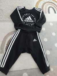 Trening adidas bebe masura 74