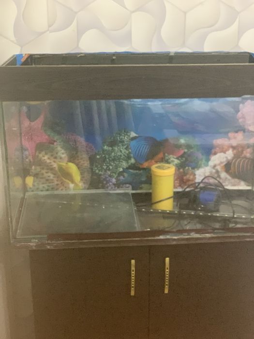 Продом акварум нет загрязнений