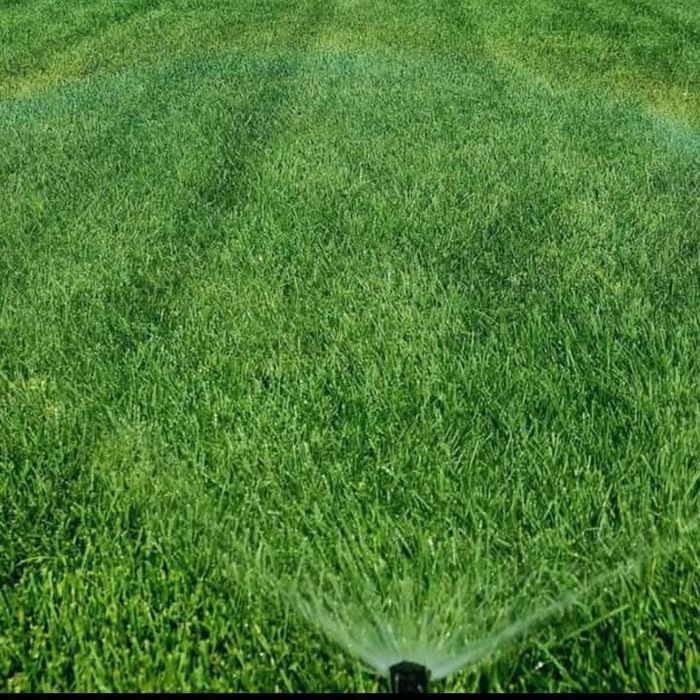Gazon Rulou și Sistem de irigare și plante Decorative