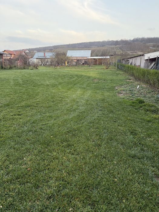 Casa teren intravilan