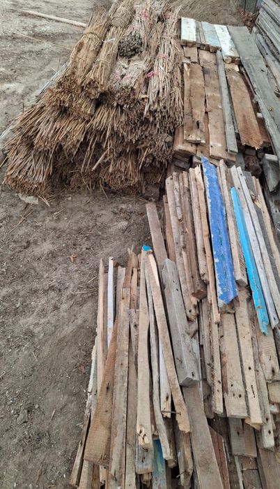 Бу ағаштар, тегін