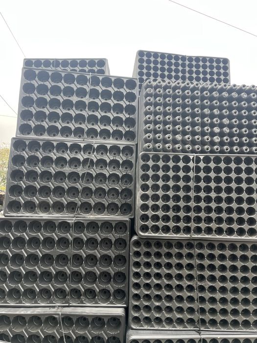 Tavite alveolare alveole rasaduri turba banda picurare