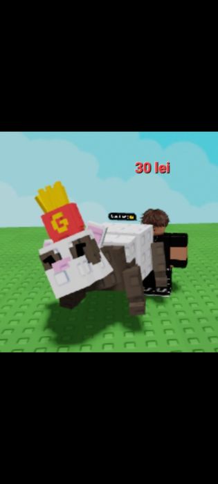 Vand pets pe grow a garden