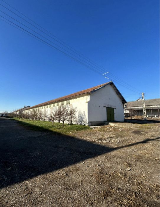 Complex Agroindustrial de Vanzare Statie de Uscare Tratare Seminte