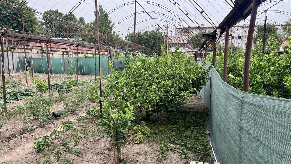 Продаётся земельный участок под строительство жилого дома.