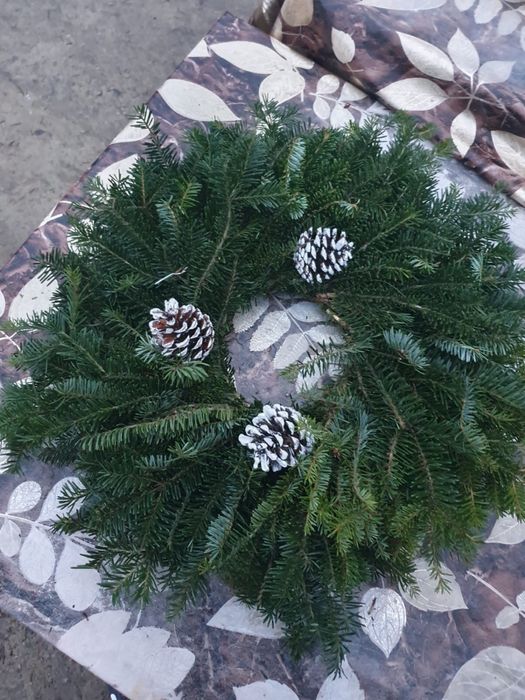 Coronite de brad en-gros pretul incepand de la 8 lei pana la 30