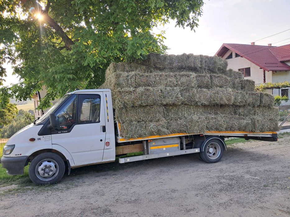 Autoplatforma Ford Transit