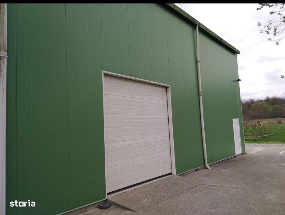 Hala 233 mp + apartament, Bascov, teren 900mp