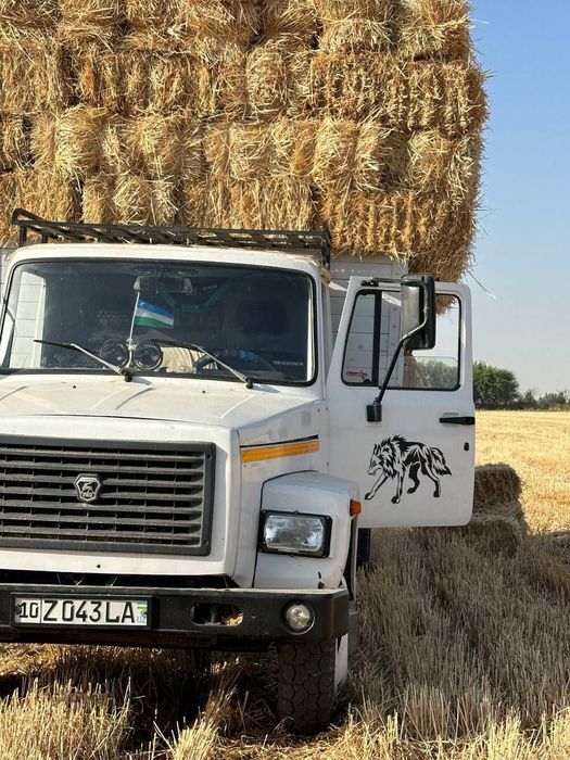 Gaz 3309 sotiladi