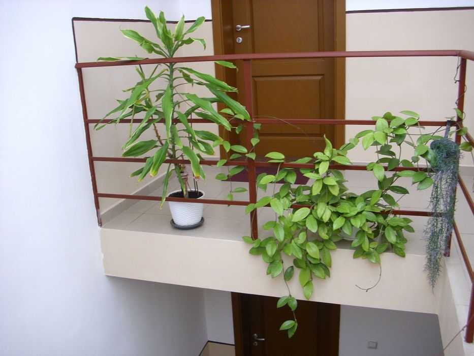 AGFA PHOTO DC - 1033M   10MPx