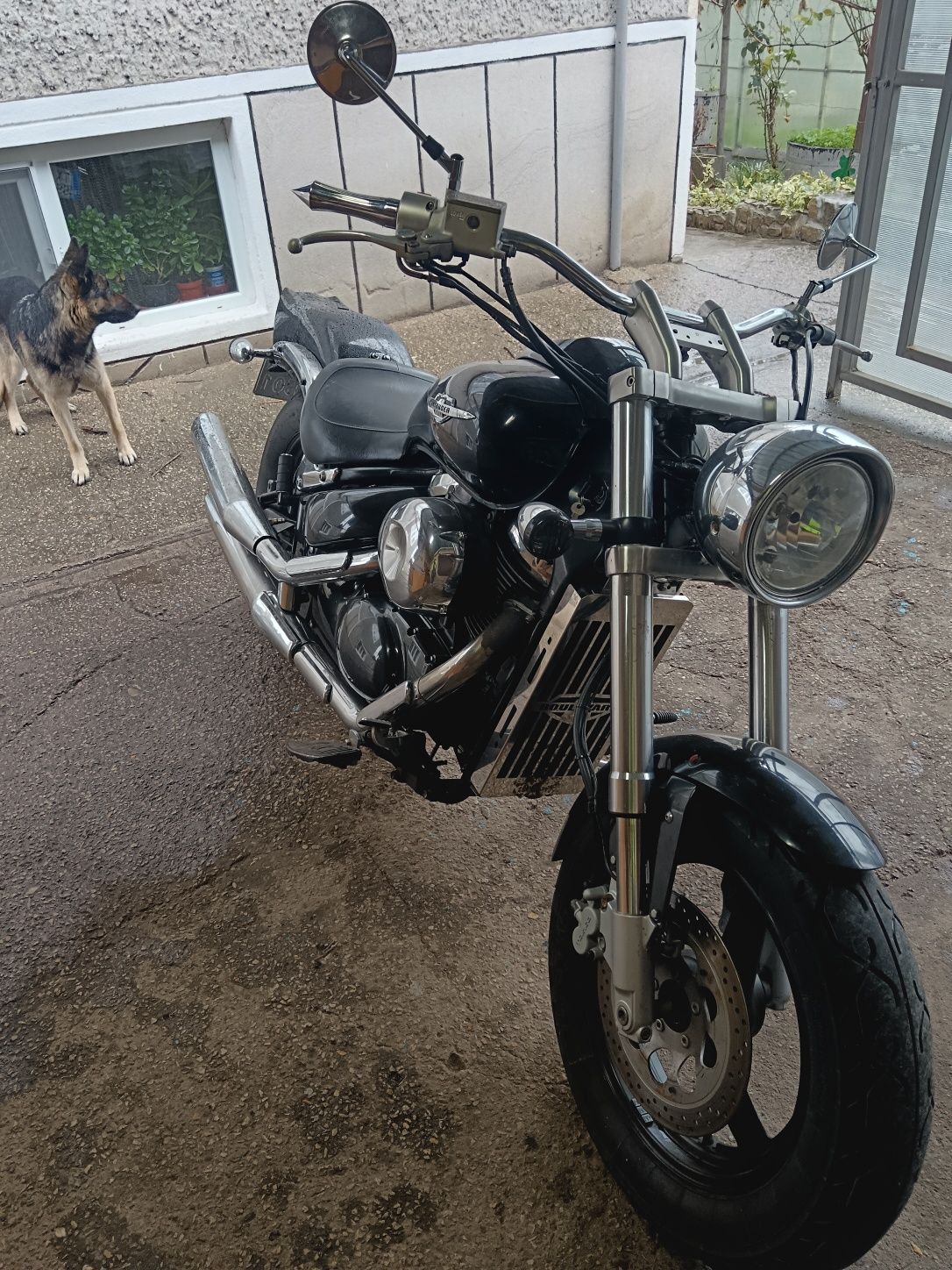 Suzuki boulevard 800