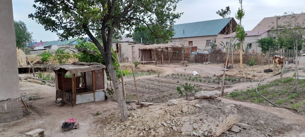 Jay satiladi 300 mln