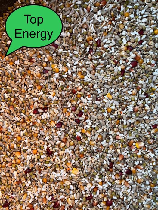 Hrana porumbei / Amestec cereale