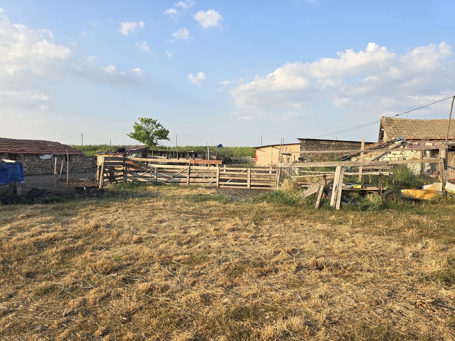 Vând sau închiriez ferma animale