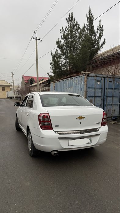 Coblt 2014  2 pazitsa