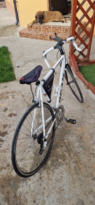 Bicicleta Peak cycle semicursiera