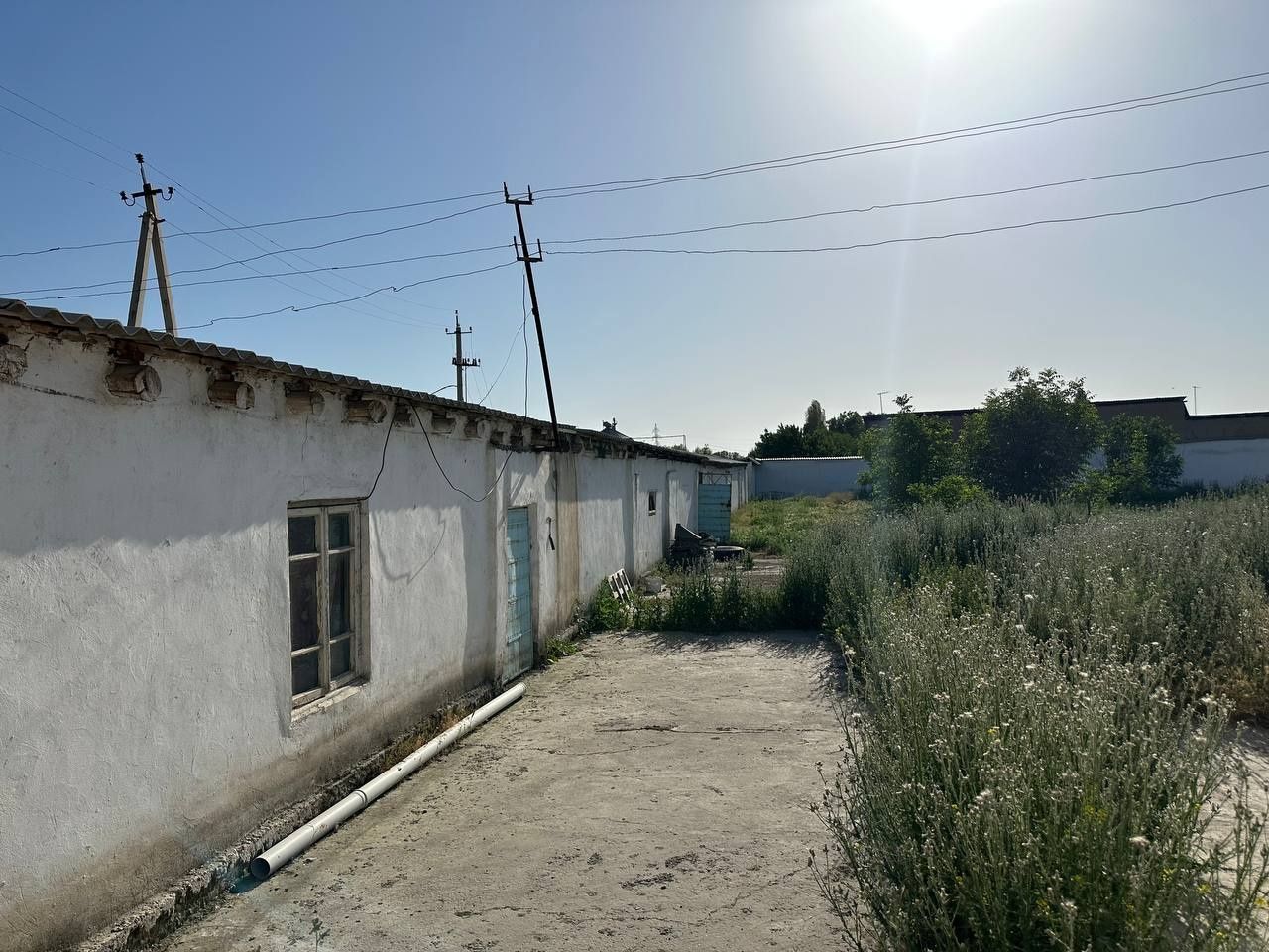 ЗАНГИОТА Ором кафе рупарасида Green house домларидан кирганда