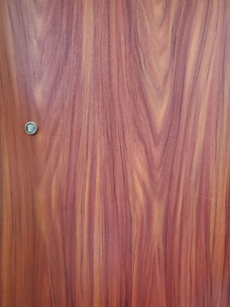 Масивна метална врата