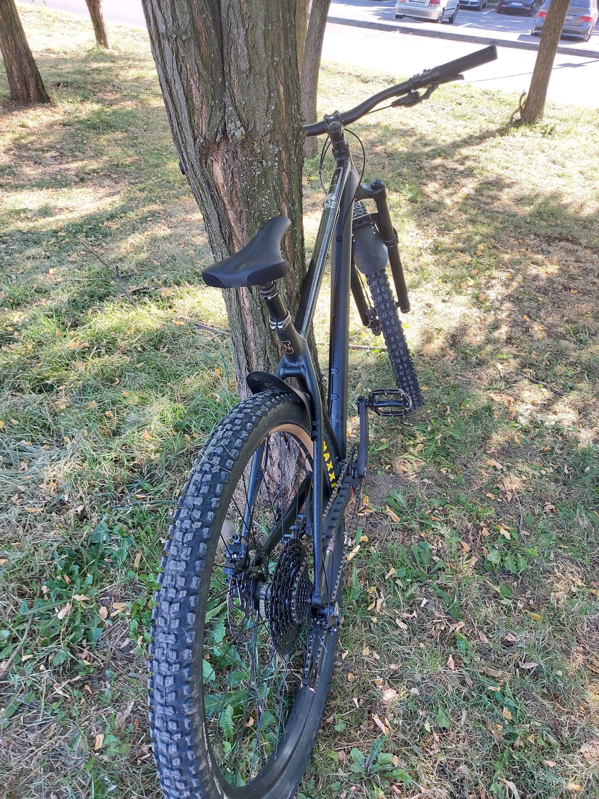 Hardtail NS Eccentric Alu 29